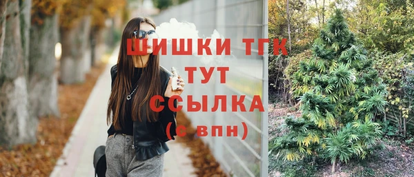 винт Балахна