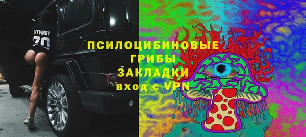 винт Балахна