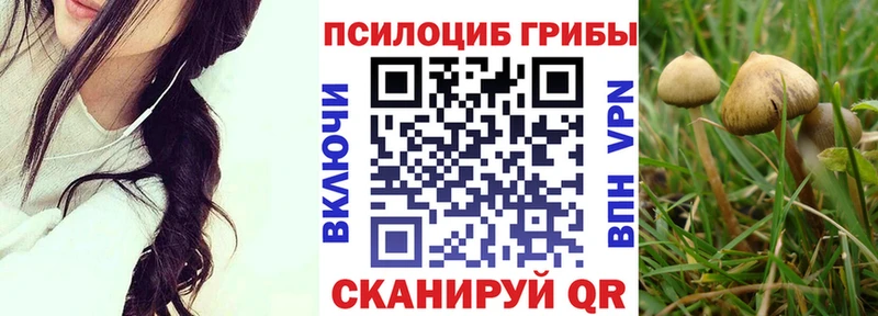 цены   Вятские Поляны  Псилоцибиновые грибы Psilocybine cubensis 