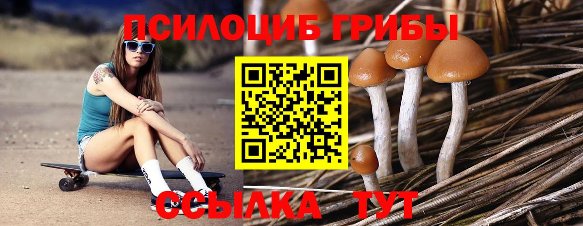 Галлюциногенные грибы мицелий  Вход с VPN  Галлюциногенные грибы Psilocybine cubensis  Вятские Поляны 